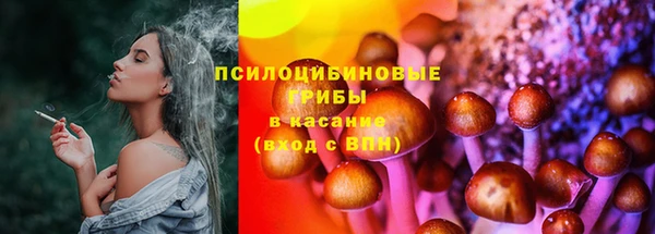 МДПВ Кодинск