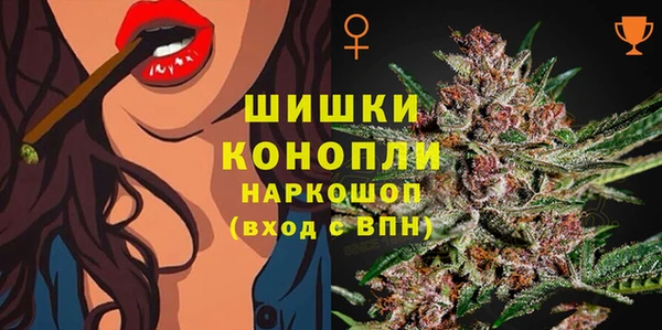 МДПВ Кодинск
