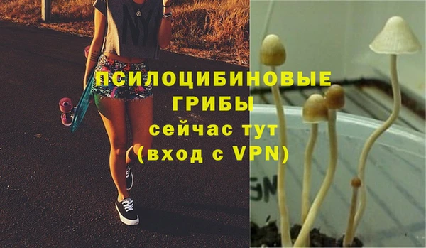 бошки Корсаков