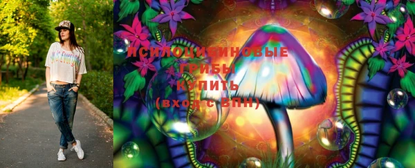 мяу мяу мука Козловка